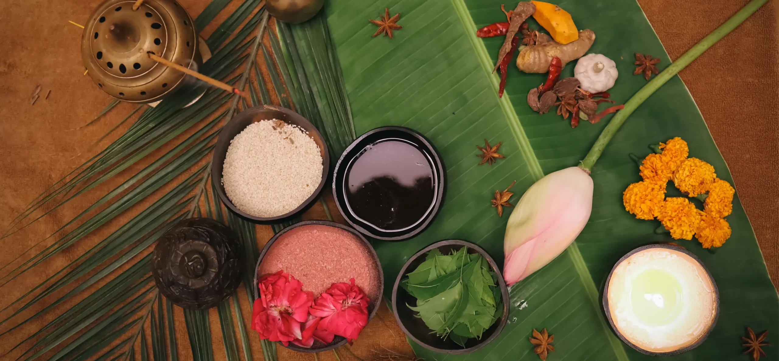 Ayurvedic Care